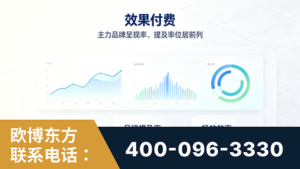津市-效果付费：主力品牌呈现率、提及率位居前列
