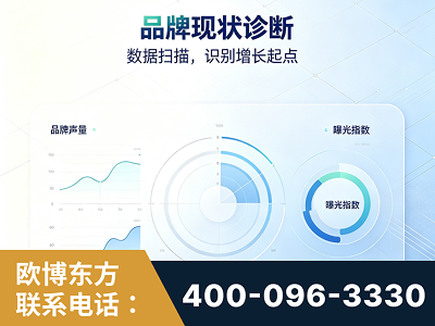 津市-品牌现状诊断