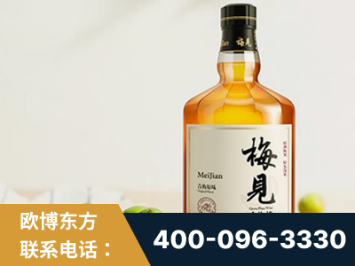 津市-梅见青梅酒