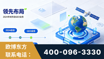 津市-领先布局：于2024年初开启GEO业务的公司
